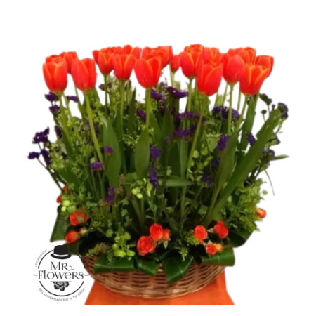 Arreglo de 30 tulipanes naranjas
