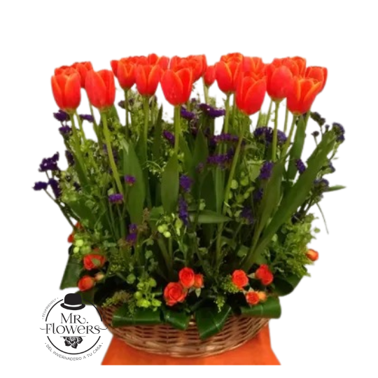 Arreglo de 30 tulipanes naranjas Arreglo de 30 tulipanes naranjas