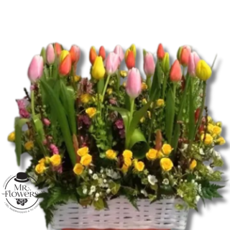 Canasta con 30 Tulipanes Mixtos