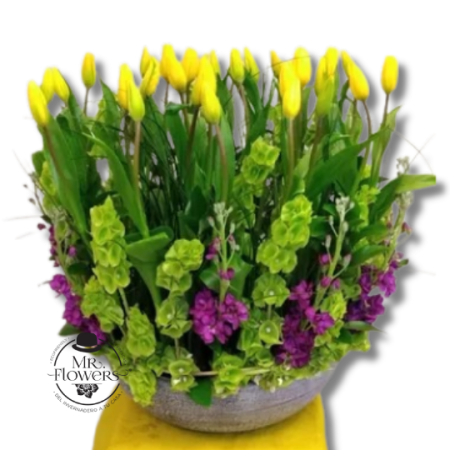 Arreglo de Tulipanes Amarillos y Mathiola