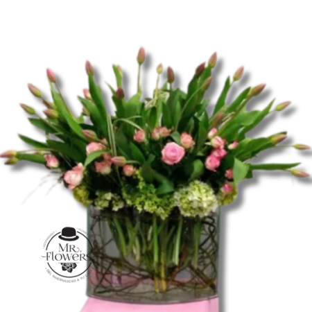 30 tulipanes con Curly