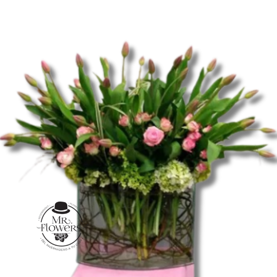 30 tulipanes con Curly 30 tulipanes con Curly