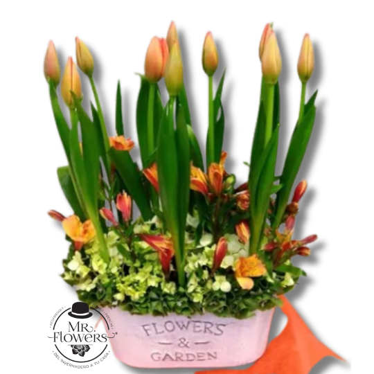 Arreglo de 10 Tulipanes y Alstromelia Arreglo de 10 Tulipanes y Alstromelia