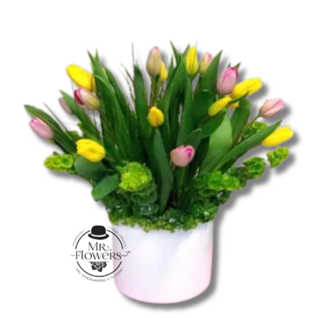 20 Tulipanes Mixtos en Base