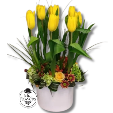 Arreglo de 10 Tulipanes en Base Blanca