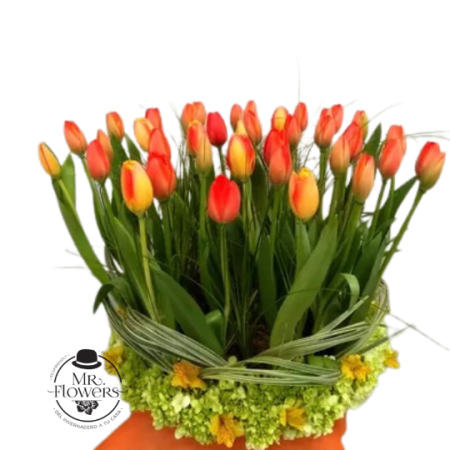 Arreglo de 40 Tulipanes Naranjas en Base