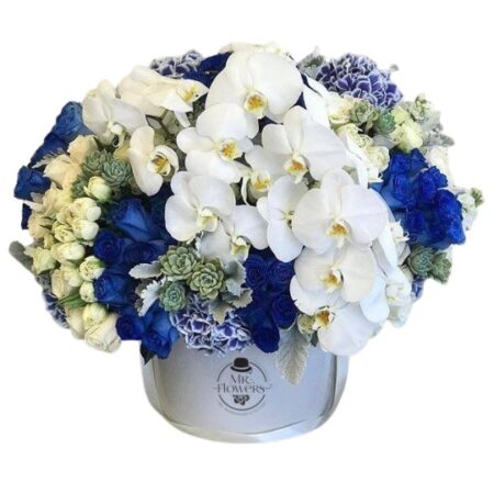 Caja Mixta para Hombre