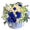 Caja Grande Blanco y Azul