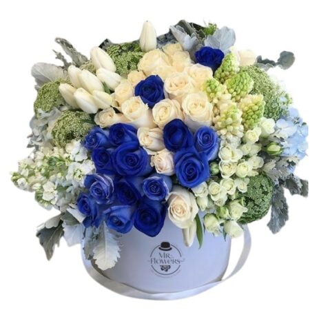 Caja Grande Blanco y Azul