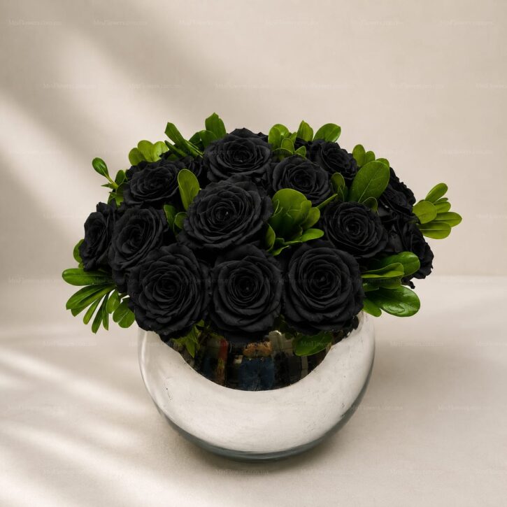 24 Rosas Negras en Base Plata 24 Rosas Negras en Base Plata