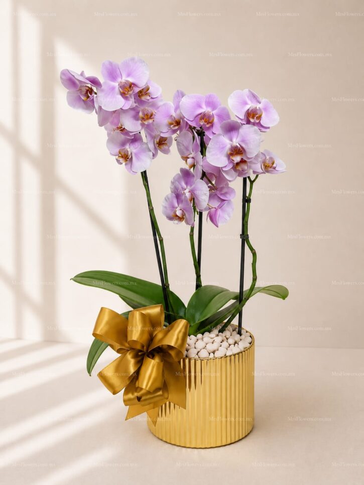 Orquidea Mini Base Oro